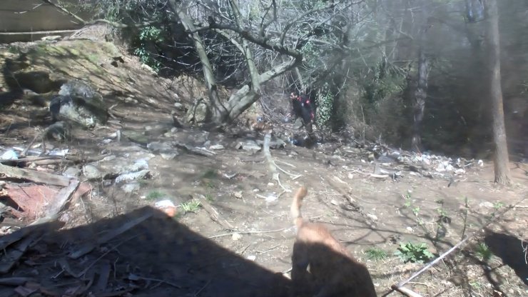 Kayıp üniversite öğrencisinin cesedi ormanda bulundu