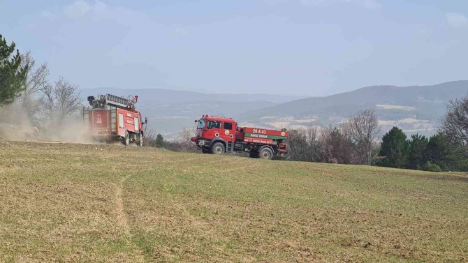 Orman yangınında 4 hektar alan zarar gördü