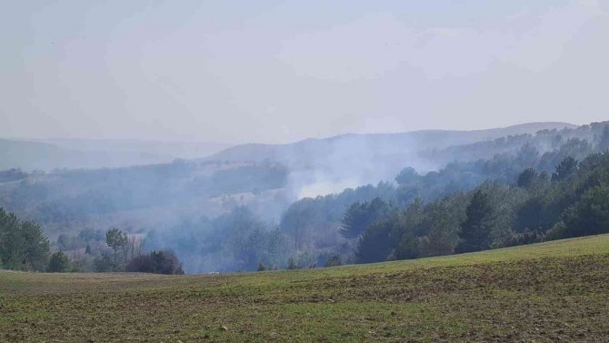 Orman yangınında 4 hektar alan zarar gördü