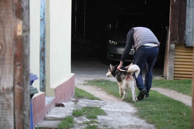 Suriyeli sığınmacıların yaşadığı evin odunluğu alev alev yandı