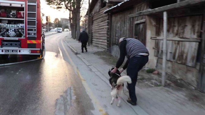 Suriyeli sığınmacıların yaşadığı evin odunluğu alev alev yandı