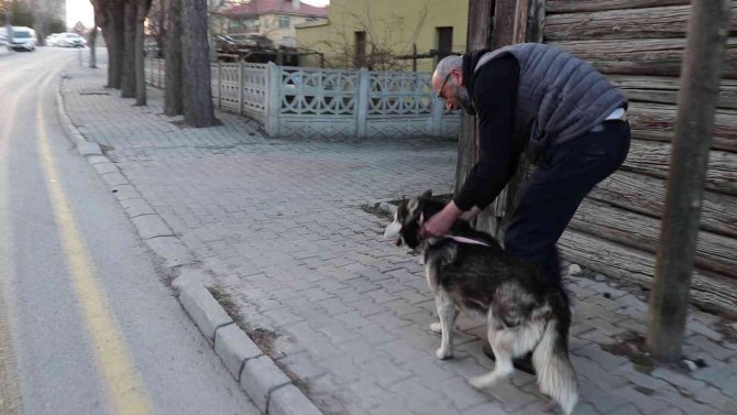 Suriyeli sığınmacıların yaşadığı evin odunluğu alev alev yandı
