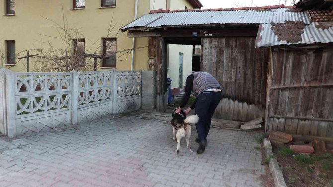 Suriyeli sığınmacıların yaşadığı evin odunluğu alev alev yandı