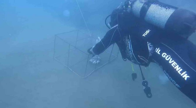 Yasa dışı balık avlamada kullanılan 35 kafes ele geçirildi