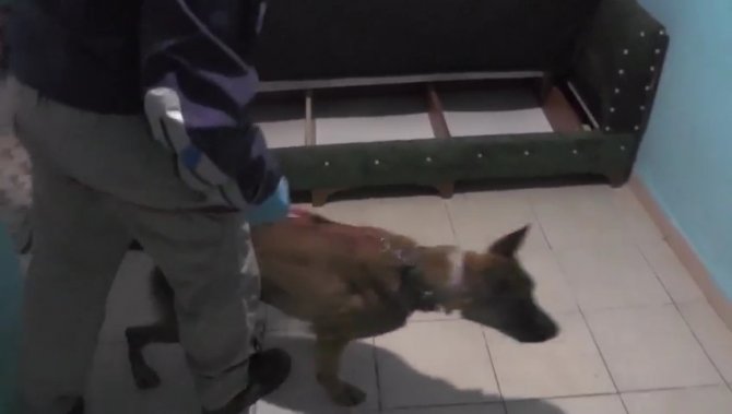 Çok sayıda adrese eş zamanlı uyuşturucu operasyonu