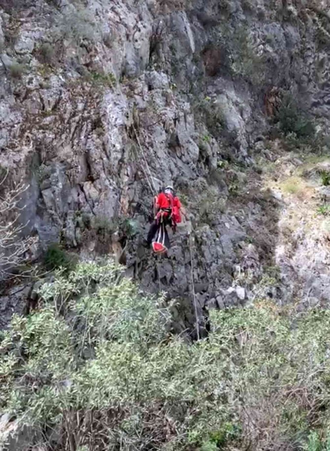 Kayalıklarda 4 gündür mahsurdu, AKUT kurtardı