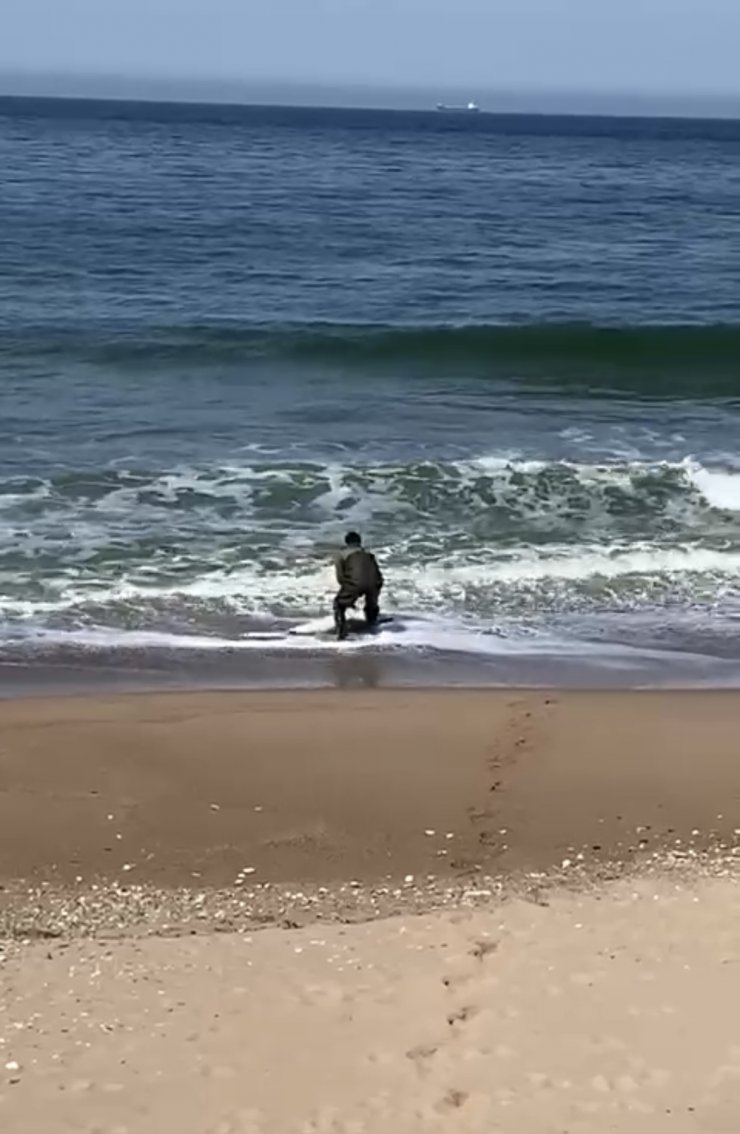 Kıyıya vuran yunusu kurtardı