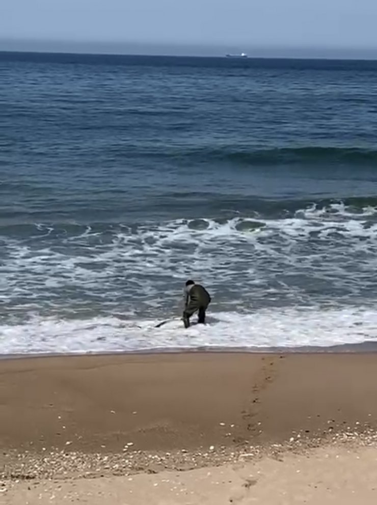 Kıyıya vuran yunusu kurtardı