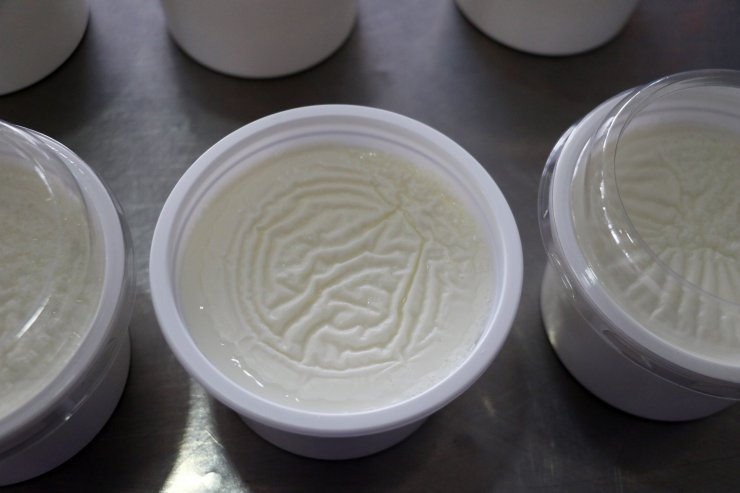 Manda yoğurduna ilgi arttı