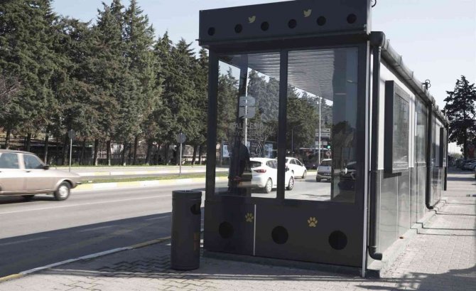 Otobüs durakları kütüphaneye dönüşüyor