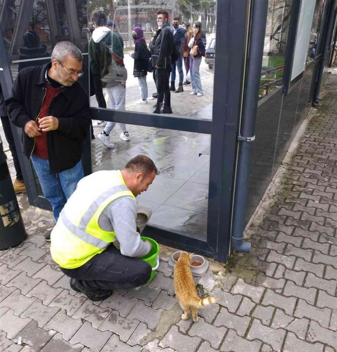Otobüs durakları kütüphaneye dönüşüyor