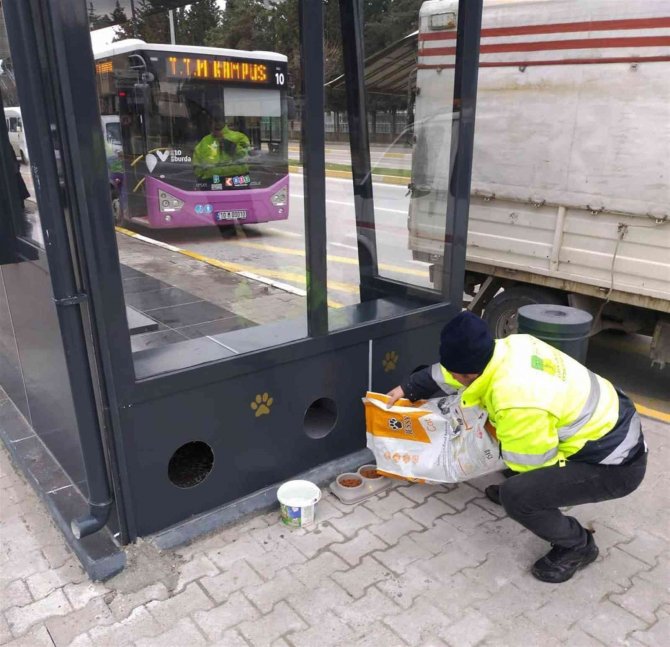 Otobüs durakları kütüphaneye dönüşüyor