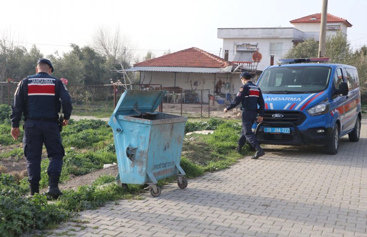 20 kedi ve köpek ölü bulundu, zehirlenen 1 kedi son anda kurtarıldı