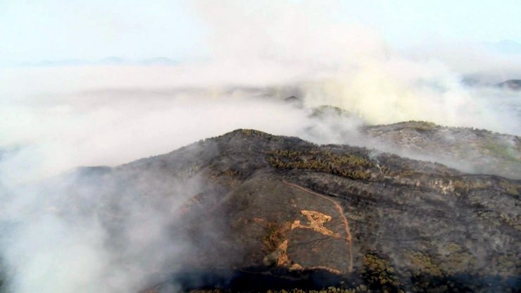 Dalaman’da orman vurgunu