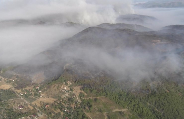 Dalaman’da orman vurgunu