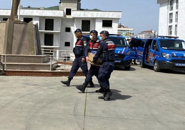 Dalaman’da orman vurgunu