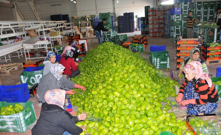 Savaşın Antalya ihracatına faturası ağır