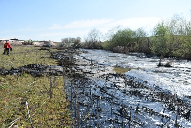Zift kaplı tarlalarda temizlik; elleriyle topladılar