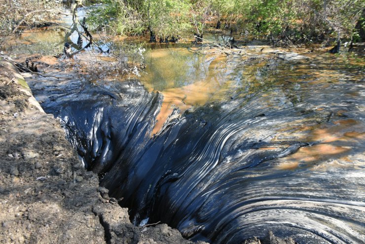 Zift kaplı tarlalarda temizlik; elleriyle topladılar