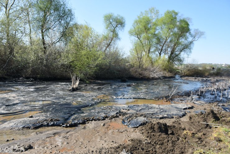 Zift kaplı tarlalarda temizlik; elleriyle topladılar
