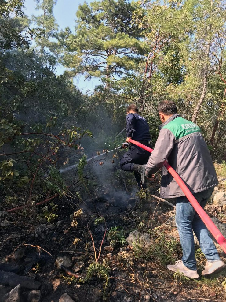 Antalya'da 3 dönüm orman yandı