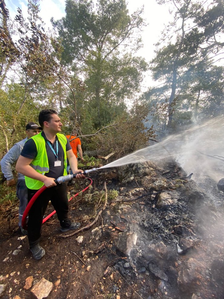 Antalya'da 3 dönüm orman yandı
