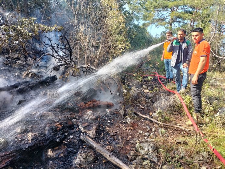 Antalya'da 3 dönüm orman yandı