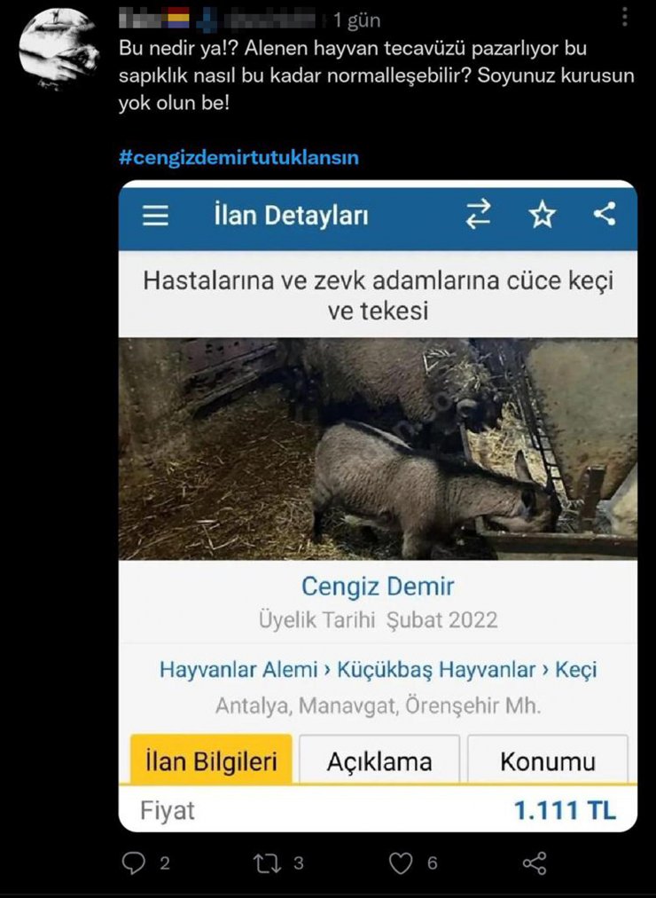 Cüce keçisini internetten satmak isterken 'hayvan tacizcisi' oldu