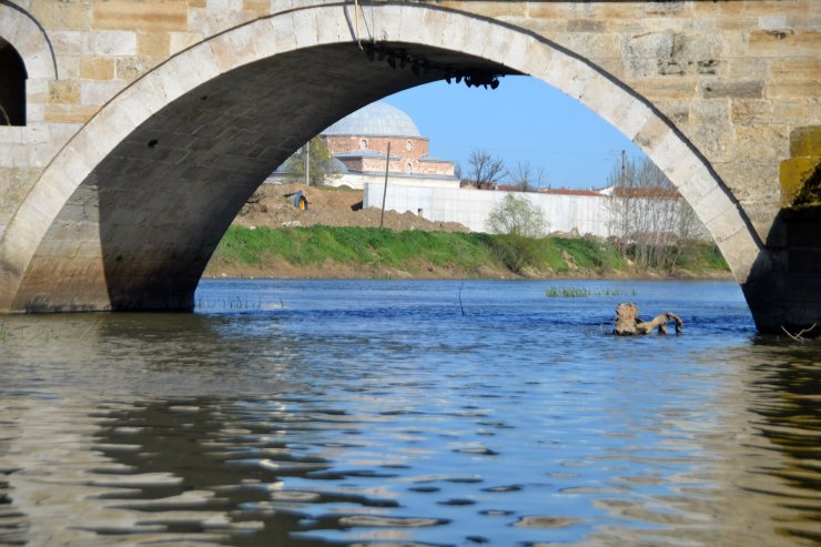 Edirne'de, geçen yıl taşan Tunca Nehri'nin debisi bu yıl düştü