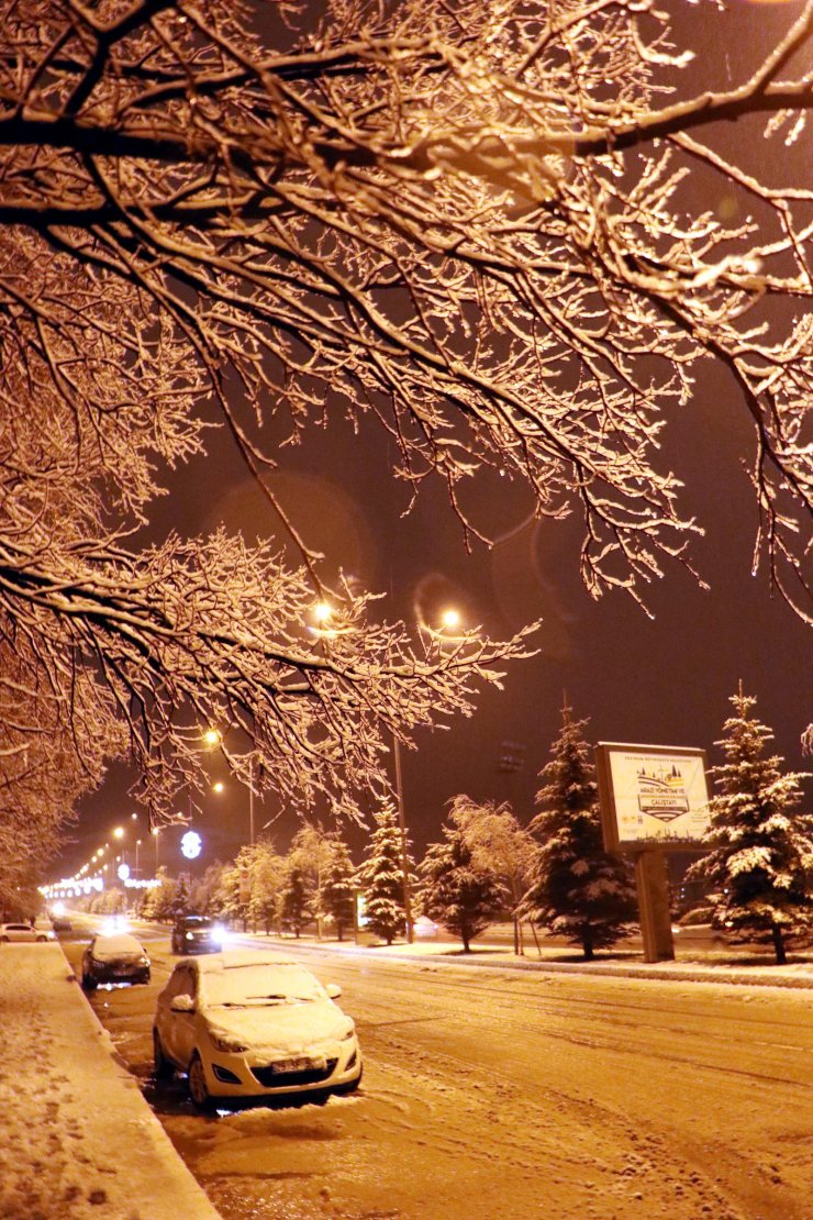 Lapa lapa kar sele neden oldu