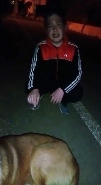 Tüfekle vurulan köpeğin başında ağladı