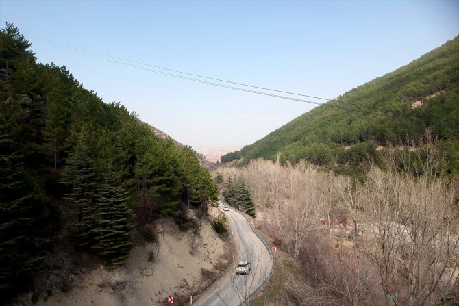 Ağaçlandırma seferberliğinin kahramanı 2 kardeş eserleri ormanla gurur duyuyor