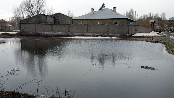 Hakkari'de dere taştı; ova ve evler su altında kaldı