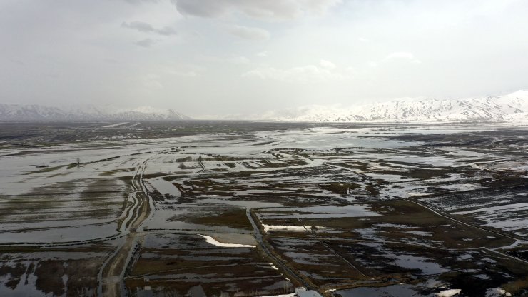 Hakkari'de dere taştı; ova ve evler su altında kaldı