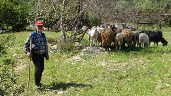 Kendilerini savcı ve polis olarak tanıttıkları yaşlı çifti jet hızıyla 81 bin TL dolandırdılar