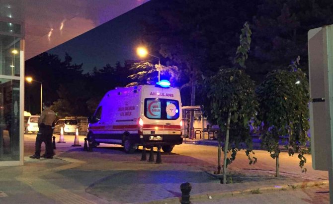 Konya'da otomobilin çarptığı at telef oldu