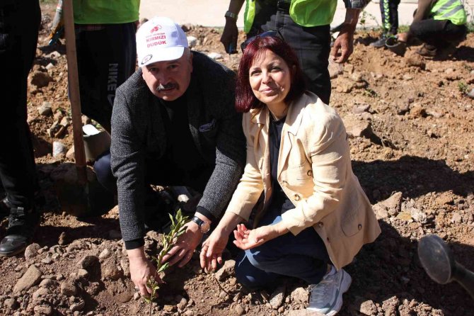 Polisler aileleri ile yanan alanlara fidan diktiler