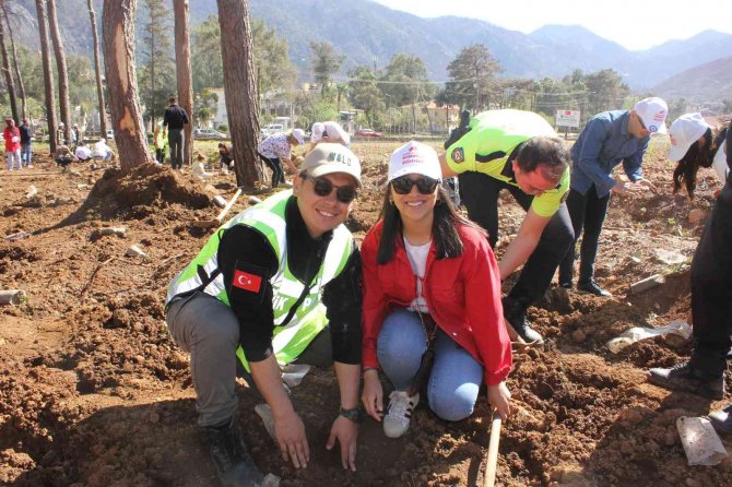 Polisler aileleri ile yanan alanlara fidan diktiler