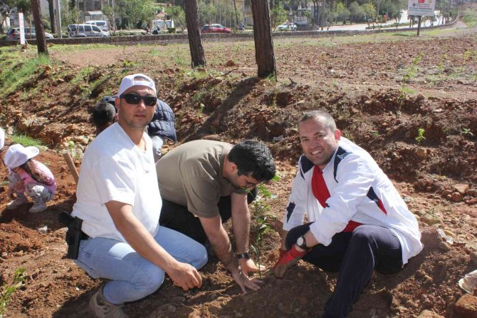 Polisler aileleri ile yanan alanlara fidan diktiler