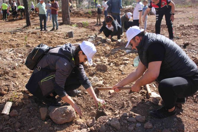 Polisler aileleri ile yanan alanlara fidan diktiler