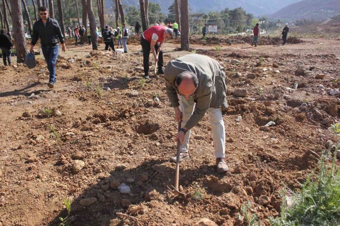 Polisler aileleri ile yanan alanlara fidan diktiler