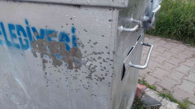 Silahlı saldırıda yaralandı, çöp konteynerinin arkasına sığınarak ölümden kurtuldu