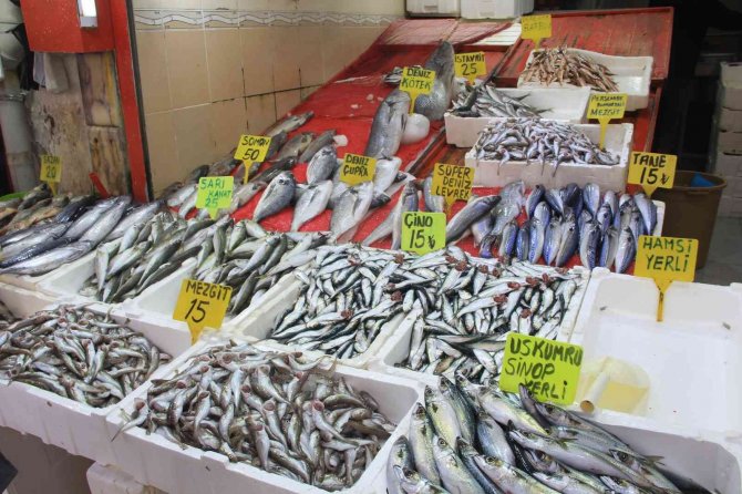 Balıkçılar uyarıyor: "Aldın aldın, almadın daha yiyemezsin"