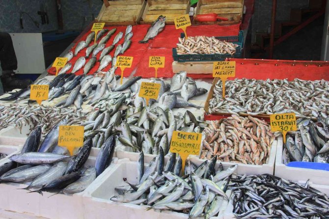 Balıkçılar uyarıyor: "Aldın aldın, almadın daha yiyemezsin"