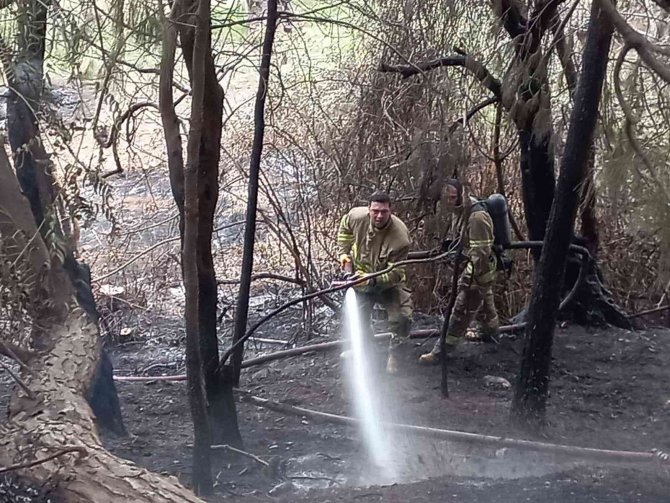 Mesire alanında çıkan yangında 2 hektar alan yandı