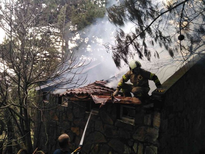 Mesire alanında çıkan yangında 2 hektar alan yandı