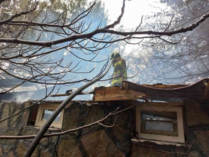 Mesire alanında çıkan yangında 2 hektar alan yandı