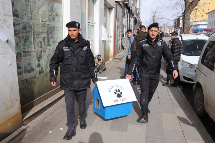 Polislerin sokak hayvanları için hazırladığı barınaklar cadde ve sokaklarda