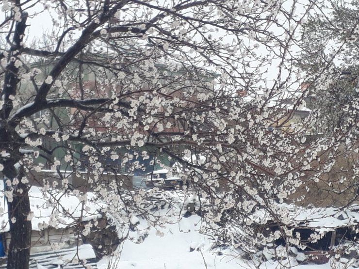 Aksaray, nisan ayında yağan karla beyaza büründü