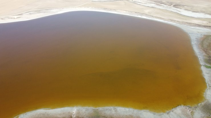 Her yıl pembeye bürünen göl, kahverengi oldu